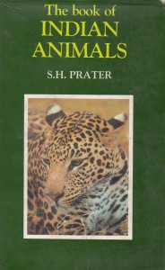 The Book of Indian Animals